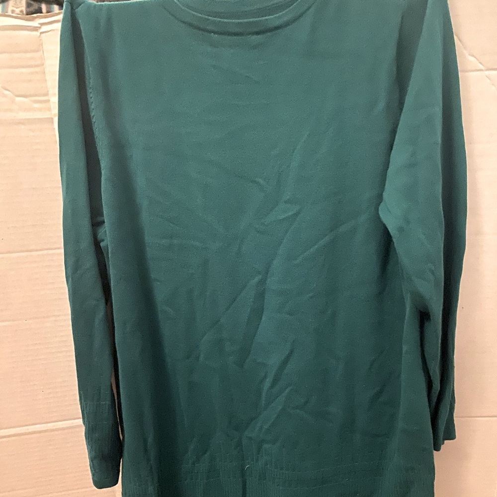 Isaac Mizrahi tunic lite sweater green 1X